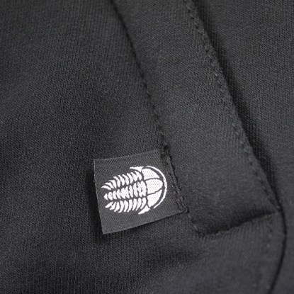 illenius_detail3
